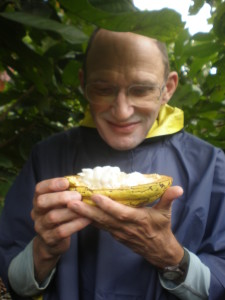Cocoa Pod